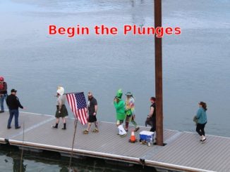 The Boundary County Penguin Plunge